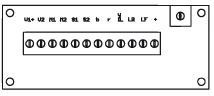 PIKO ET38503-36 - Scheda ricevente per locomotiva radiocomandata